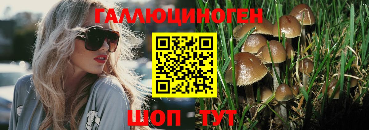 Псилоцибиновые грибы мухоморы  Вход с VPN  Елец 